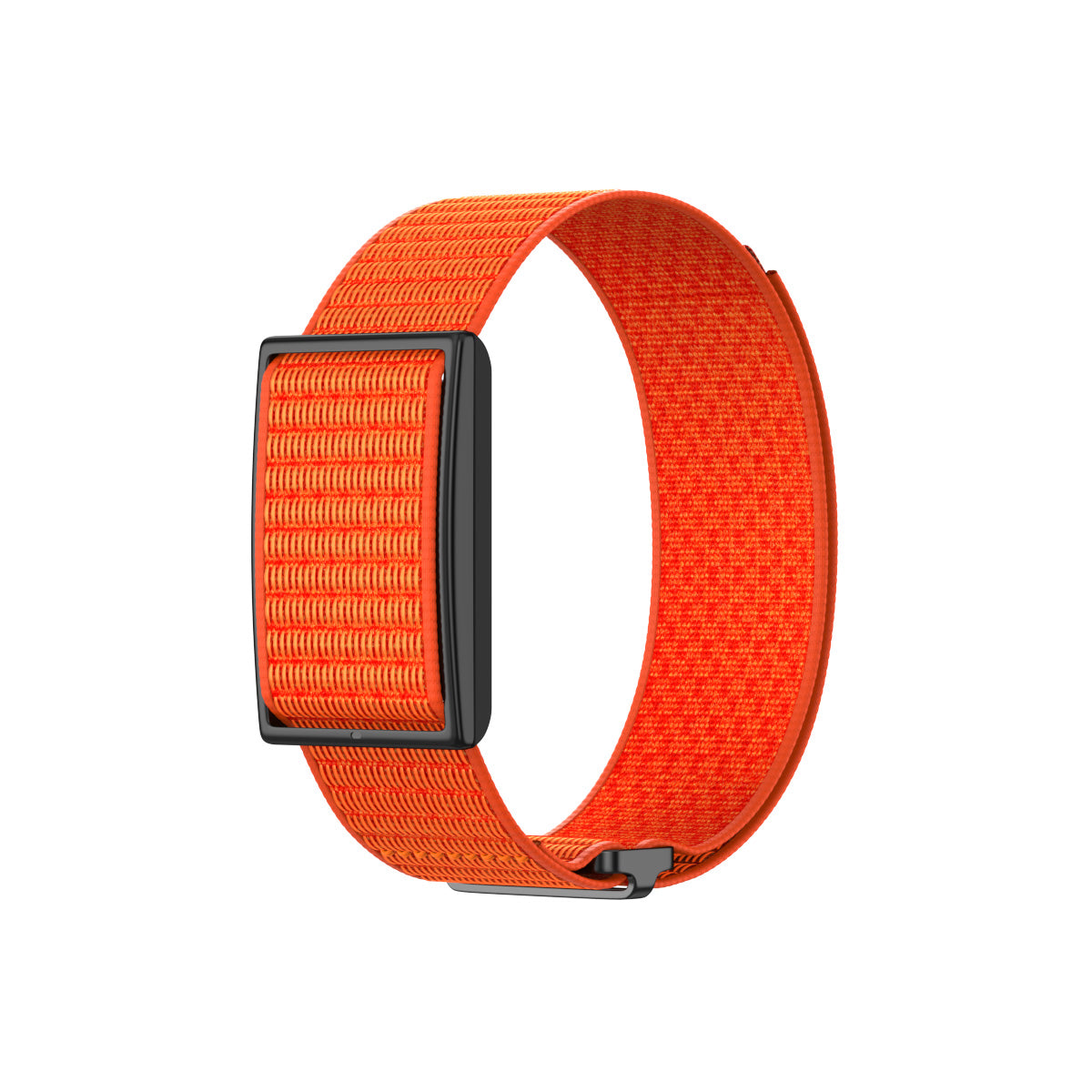 Polar Loop Nylon Strap (Orange)