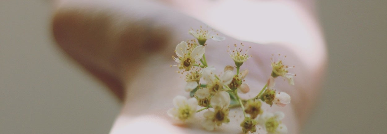 Guide des bracelets Apple Watch sans nickel