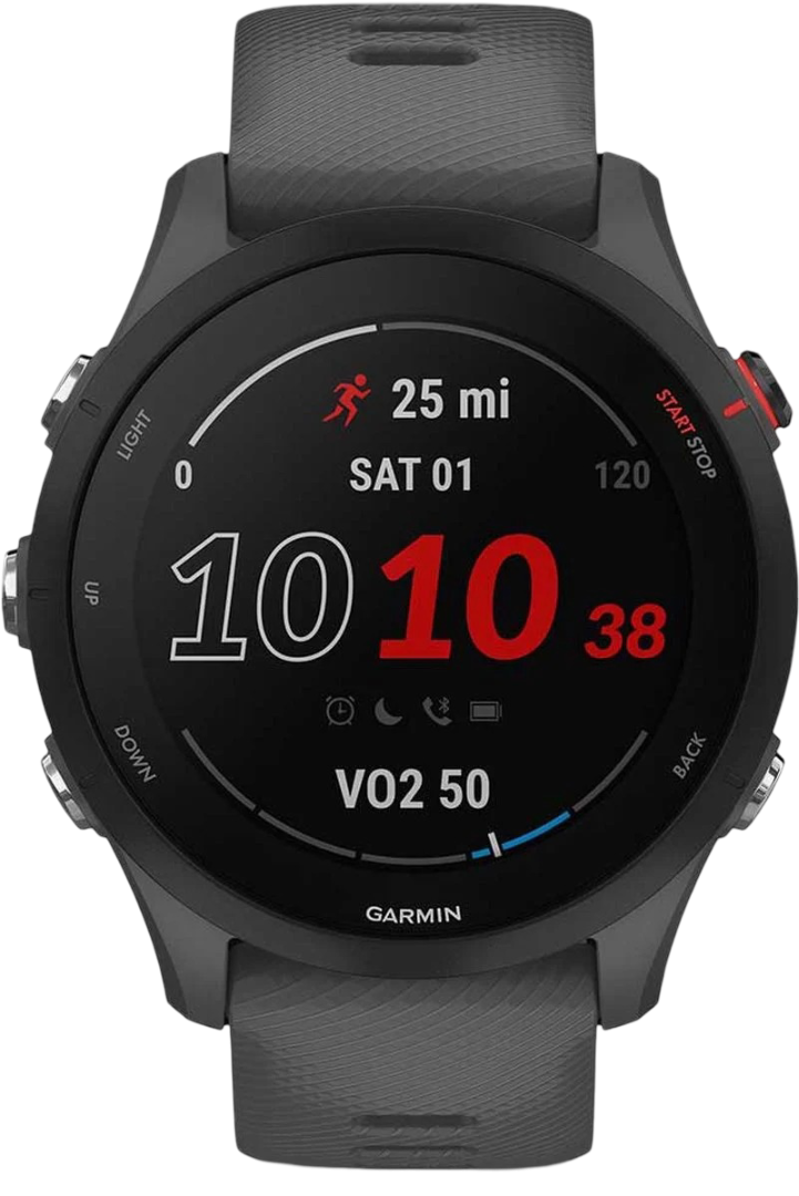 Garmin Forerunner 255 straps