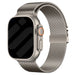 Apple Watch Modern Milanese Strap (Titanium)