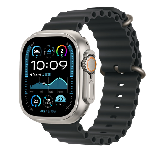 Bandz Apple Watch Ultra - 49mm Metall Hülle (Titan)