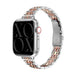 xoxo Wildhearts Apple Watch Steel Strap 