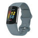 Fitbit Charge 5 Silikonarmband (Graublau)