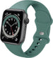 Apple Watch Klassisches Silikonarmband (Kaktus)
