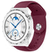 Huawei Watch GT 3 Pro 43mm Sportarmband (Weinrot)