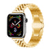 Apple Watch Ultra Jubilee Stahlarmband (Gold)