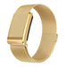 WHOOP 5.0 Milanese Armband (Gold)