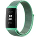 Fitbit Charge 4 Nylon Strap (Mint)