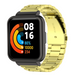 Redmi Watch 2 Lite Steel Strap (Gold)