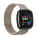 Fitbit Versa 4 Milanese-Armband (Polarstern)